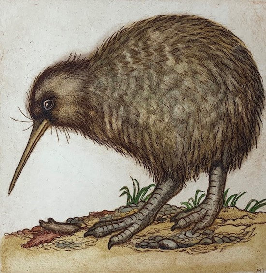 Kiwi